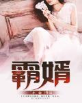 霸婿崛起全文免费阅读