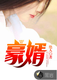 豪婿（超级女婿）