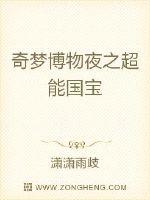 超能国宝