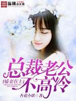 娇妻在上:总裁老公不高冷