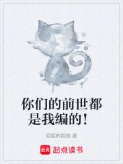 你们的前世都是我编的！